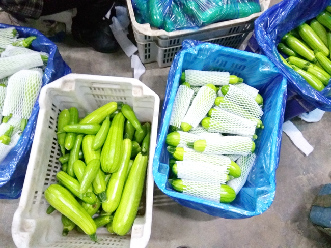 shanxi-vegetable-refrigeration-storage16