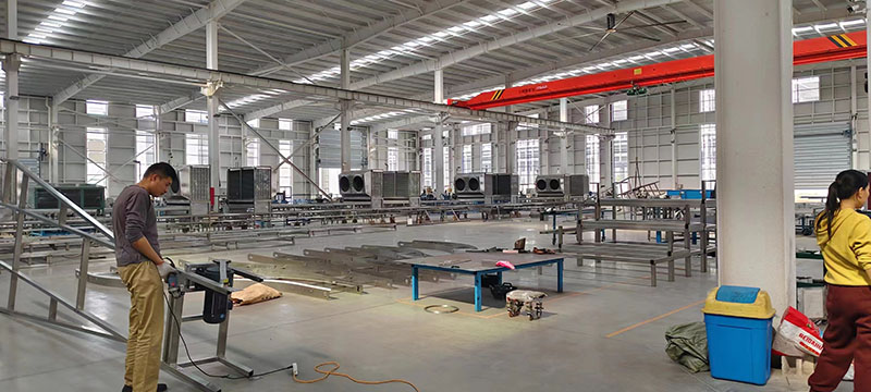 IQF (Individual Quick Freezing) Factory