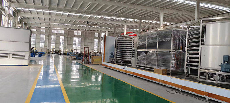 IQF (Individual Quick Freezing) Factory